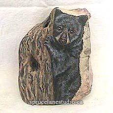Blackbear Cub