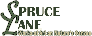 Spruce Lane - Works of Art on Nature's Canvas